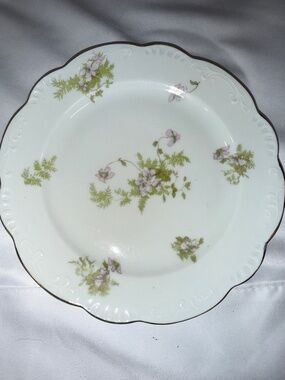 Winterling Bavaria Pink Floral Dessert Plates Wild Rose Porcelain Germany Set 10